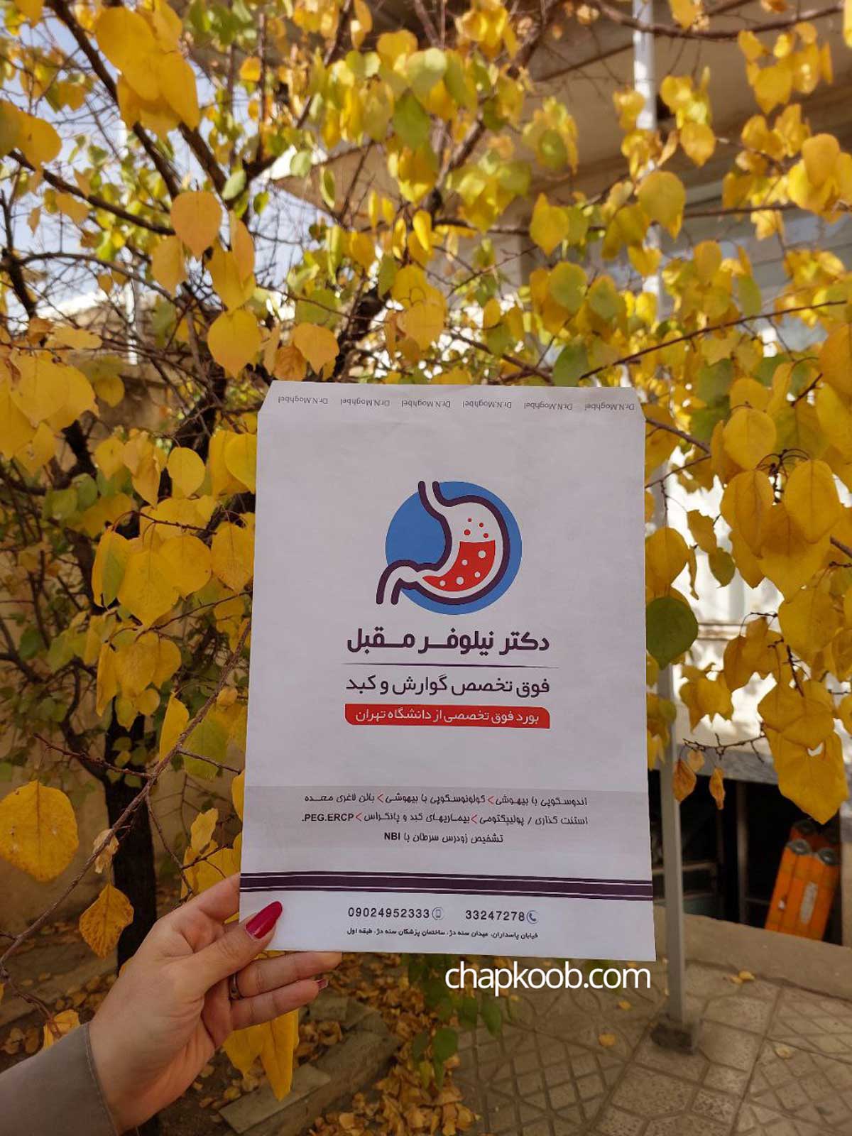 پاکت کیسه ای